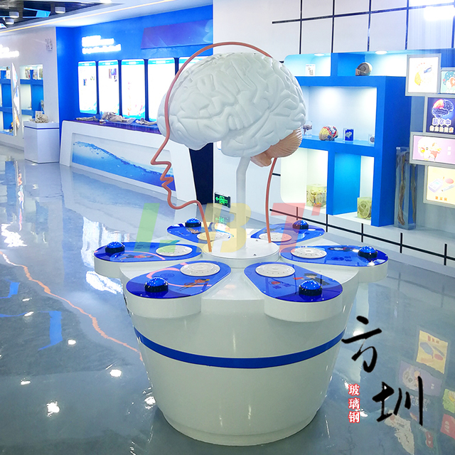 玻璃钢仿真心脏人脑雕塑